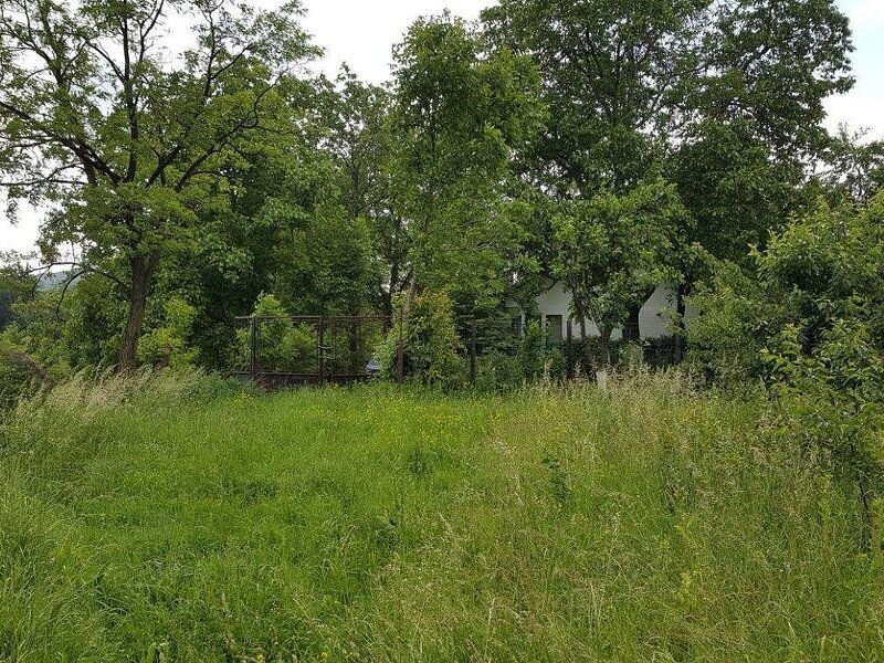 Breaza (PH) -Vanzare teren  8000mp - vedere panoramica