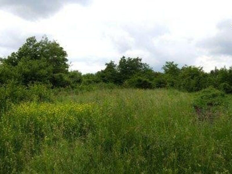 Breaza (PH) -Vanzare teren  8000mp - vedere panoramica